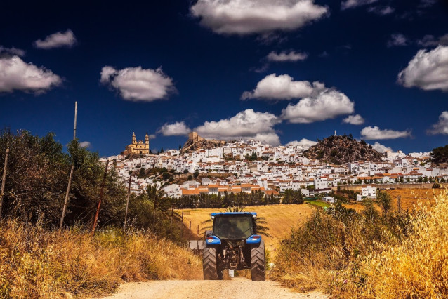 Archivo - Un tractor, en el medio rural.