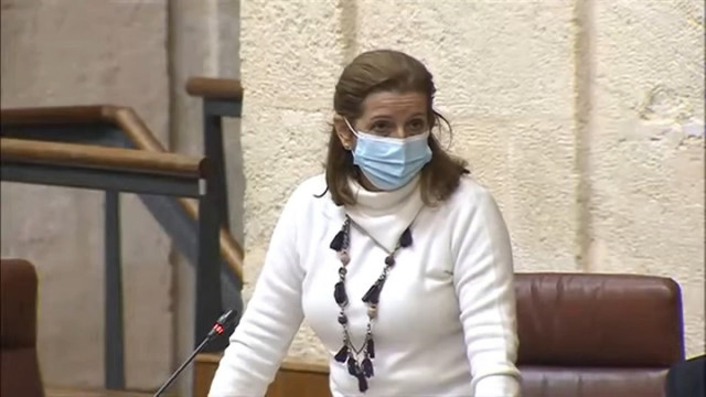La parlamentaria andaluza de Vox María José Piñero.