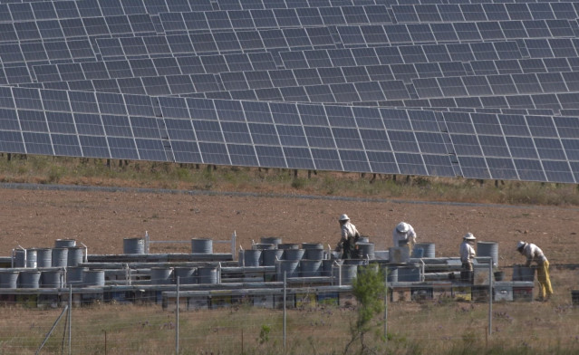 Archivo - Recolección de miel en la planta fotovoltaica de Iberdrola en Andévalo, en Huelva (Andalucía)