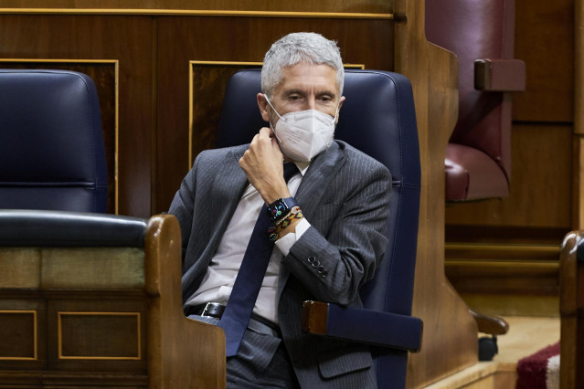 El ministro del Interior, Fernando Grande-Marlaska, en una sesión plenaria en el Congreso