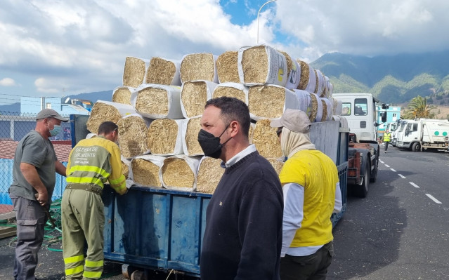 Forraje y alimento donado para el ganado despalzado en La Palma por el volcán