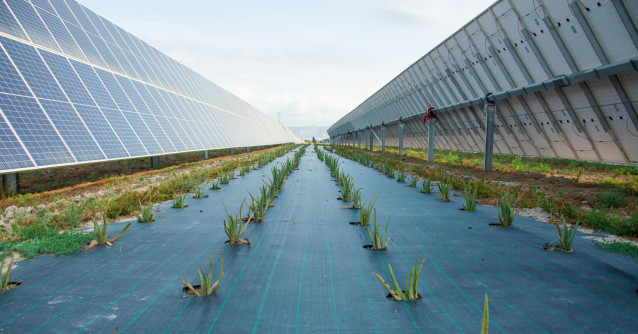 Archivo - Instalación solar de Endesa.