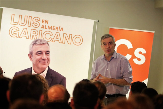 Archivo - El líder de Ciudadanos en el Parlamento Europeo, Luis Garicano.