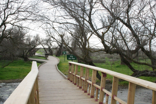 Archivo - La Tablas de Daimiel