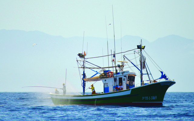Barco de pesca