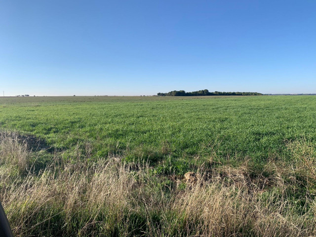 Lugar donde Audax construirá el proyecto fotovoltaico Zaratán de Ciguñuela (Valladolid)