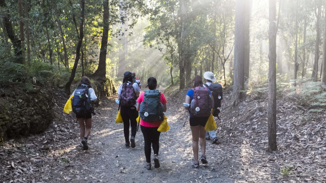 Peregrinos en el Camino de Santiago