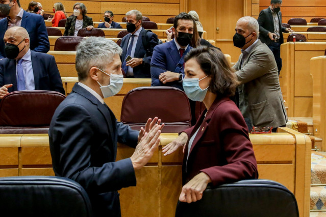 El ministro de Interior, Fernando Grande-Marlaska (i) y la portavoz del Grupo Socialista en el Senado, Eva Granados (d), en la sesión de control al Gobierno en el Senado