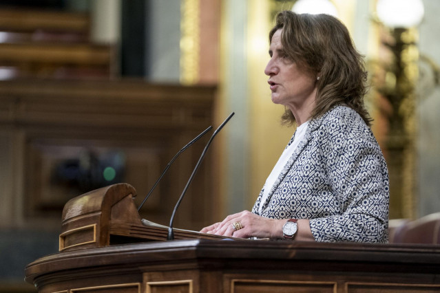 La vicepresidenta tercera y ministra para la Transición Ecológica y el Reto Demográfico, Teresa Ribera, interviene en una sesión plenaria extraordinaria en el Congreso de los Diputados, a 25 de enero de 2022, en Madrid (España). El Pleno del Congreso de l