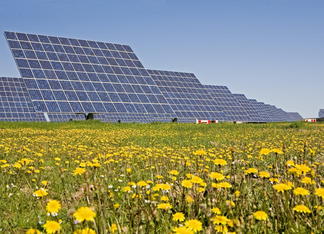 Archivo - Planta fotovoltaica en Estados Unidos