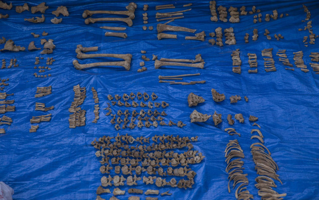 Archivo - Trabajos de exhumación de la fosa común de Pico Reja, una de las mayores fosas del franquismo, ubicada en el cementerio de San Fernando y que supone 