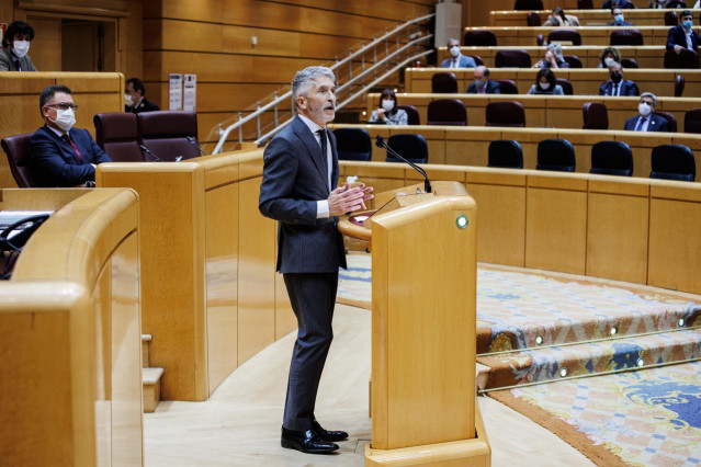 El ministro del Interior, Fernando Grande-Marlaska, en el pleno del Senado