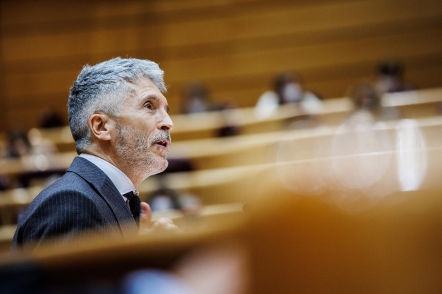 El ministro del Interior, Fernando Grande-Marlaska, en el pleno del Senado