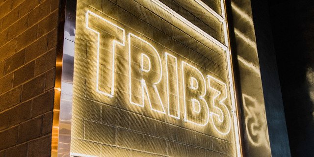 Trib3
