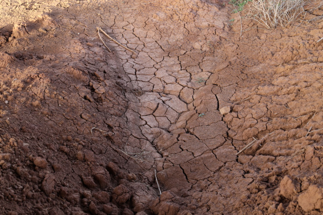 Evidencias de sequía en el Embalse de La Vega del Jabalón,