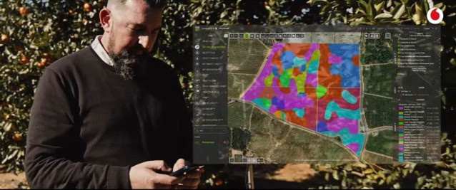 Un trabajador consulta la plataforma MyFarmWeb en una aplicación