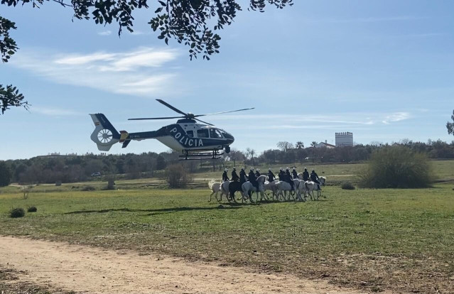 La Policía Nacional y la GNR de Portugal mantienen un encuentro para incrementar la cooperación de caballería.