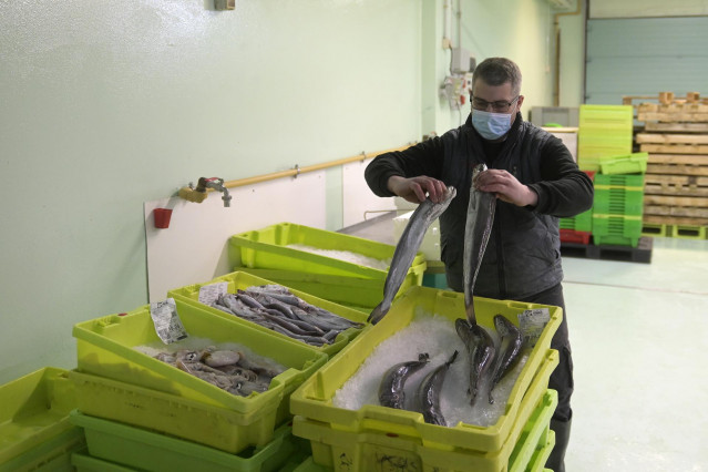Un trabajador maneja pescado en cajas de plástico, en la lonja de A Coruña, a 18 de marzo de 2022, en A Coruña