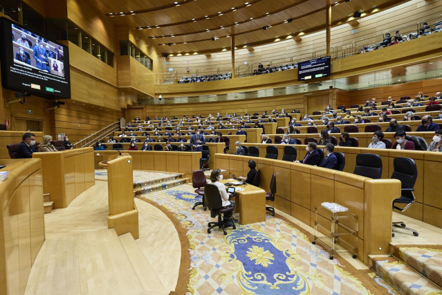 Archivo - El presidente del Gobierno, Pedro Sánchez, interviene en una Sesión de Control en el Senado, a 21 de diciembre de 2021, en Madrid (España). El Senado celebra su última sesión plenaria del año, en la que previsiblemente, se aprobarán los Presupue