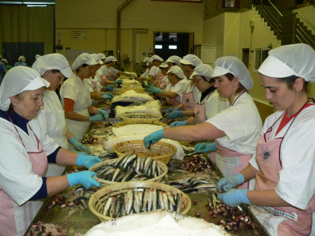 Archivo - Trabajadoras de una fábrica de anchoas en Cantabria