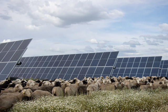 Parque de Talayuela Solar en Extremadura de Statkraft