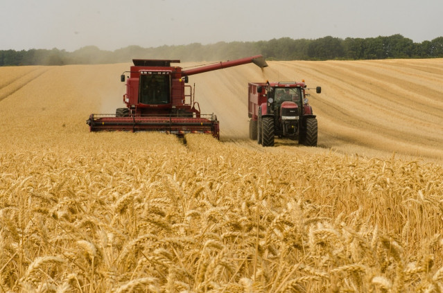 Agricultor cosechando en el campo