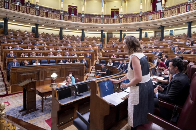 La secretaria general del PP, Cuca Gamarra, interviene en una sesión plenaria, en el Congreso