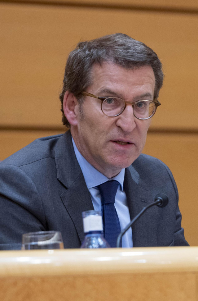 El presidente del PP, Alberto Núñez Feijóo, interviene durante la reunión plenaria de los grupos parlamentarios del Partido Popular del Congreso de los Diputados, en el Senado y en el Parlamento Europeo, en el Senado, a 27 de mayo de 2022, en Madrid (Espa
