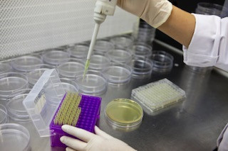 Archivo - Imagen de recurso de un laboratorio de investigación.