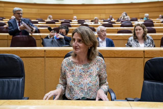 La vicepresidenta del Gobierno responsable de Transición Ecológica, Teresa Ribera