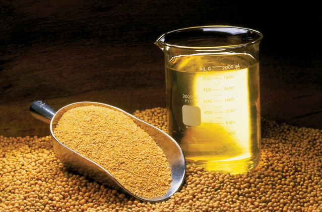 Archivo - Aceite de soja.