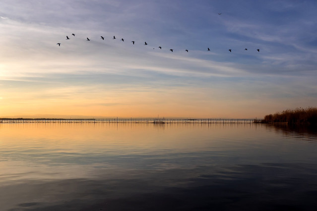 Archivo - Albufera
