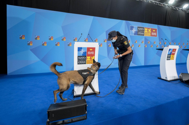 Una agente de Policía Nacional con un perro adiestrado en el dispositivo puesto en marcha para la OTAN, en IFEMA Madrid