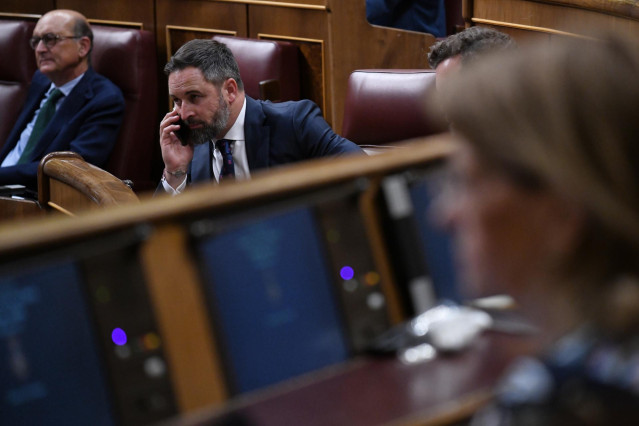 El líder de Vox, Santiago Abascal, durante una sesión plenaria, en el Congreso de los Diputados