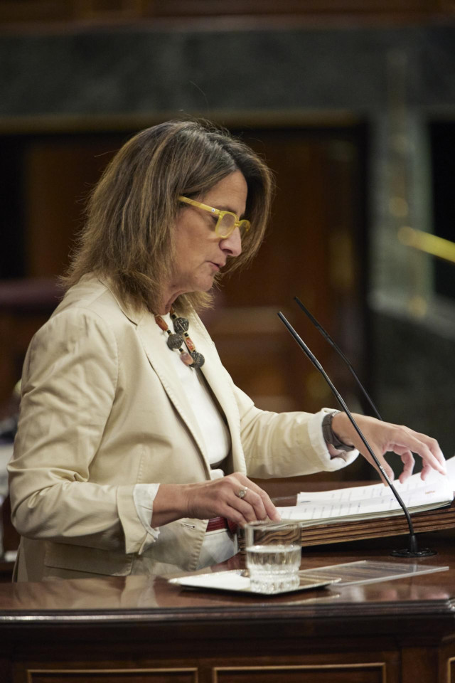 La vicepresidenta y ministra para la Transición Ecológica y el Reto Demográfico del Gobierno de España, Teresa Ribera, interviene en una sesión plenaria, en el Congreso
