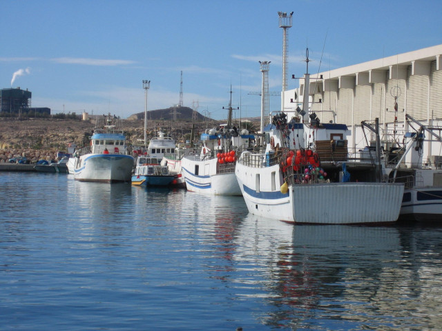 Archivo - Flota de pesca