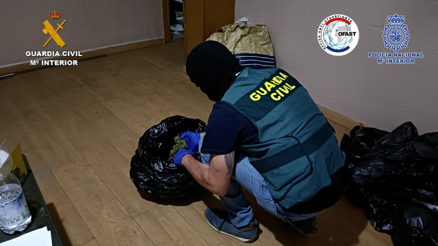 Parte de la droga incautada en la operación.