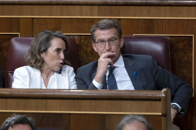 La secretaria general y portavoz del Partido Popular (PP), Cuca Gamarra, y el presidente del PP, Alberto Núñez Feijóo, durante la primera jornada de la 26 edición del Debate sobre el Estado de la Nación, en el Congreso de los Diputados, a 12 de julio de 2
