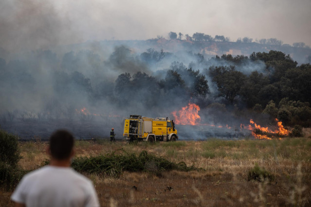 Varios bomberos trabajan en la extinción del fuego del incendio de Losacio