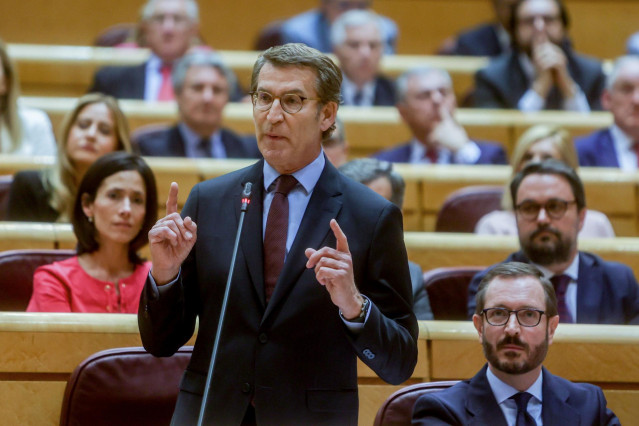 Archivo - El líder del PP, Alberto Núñez Feijóo, interviene en una sesión plenaria en el Senado, a 7 de junio de 2022, en Madrid (España).
