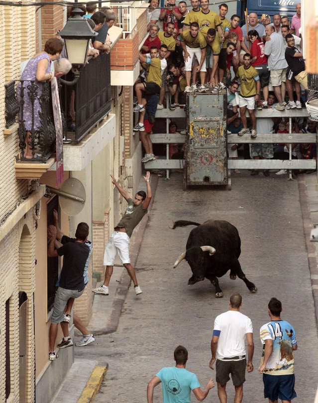 Archivo - Festejo taurino de 'bous al carrer' en Puçol