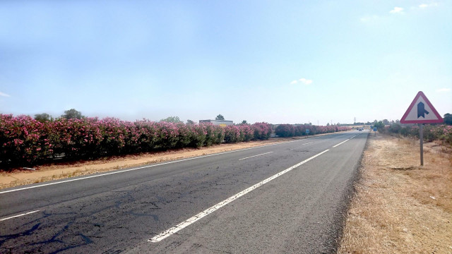 Archivo - Imagen de una carretera