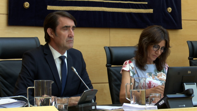 Suárez-Quiñones durante su comparecencia en las Cortes.