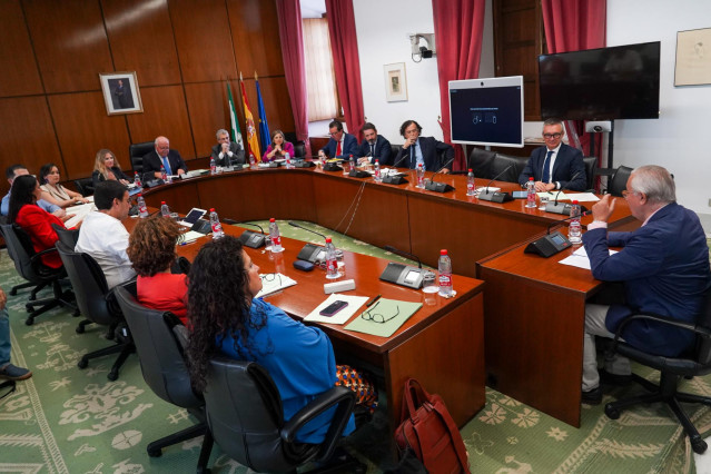 El Senador Javier Arenas durante la comparecencia en comisión parlamentaria de los candidatos a senadores en representación de la comunidad que no sean diputados del Parlamento andaluz, a 27 de julio de 2022 en Sevilla (Andalucía, España)