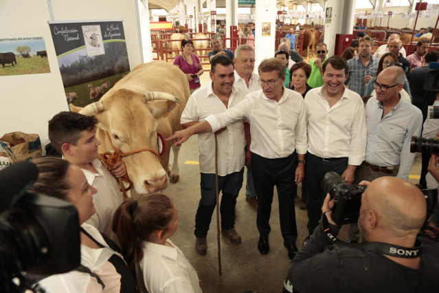 El presidente del PP, Alberto Núñez Feijóo (2i); el presidente de Castilla y León, Alfonso Fernández Mañueco (3i) y el presidente de la Diputación de Salamanca, Javier Iglesias (4i), con una vaca durante su visita a la Feria agropecuaria SALAMAQ.