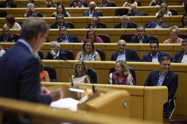 El presidente del PP, Alberto Núñez Feijóo, con el presidente del Gobierno, Pedro Sánchez, al fondo en el Senado