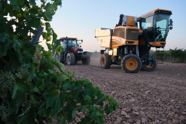 Una vendimiadora y un tractor durante la vendimia de la uva Sauvignon Blanc, a 25 de agosto de 2022, en Manzanares, Ciudad Real, Castilla La-Mancha
