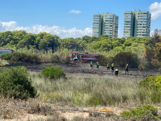 Incendio forestal en El Saler (València)