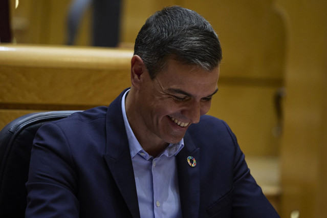 El presidente del Gobierno, Pedro Sánchez, durante un debate monográfico sobre la crisis energética y el contexto económico, en el Senado.