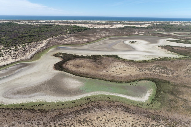 Laguna de Santa Olalla, en Doñana, seca en agosto de 2022. Archivo.